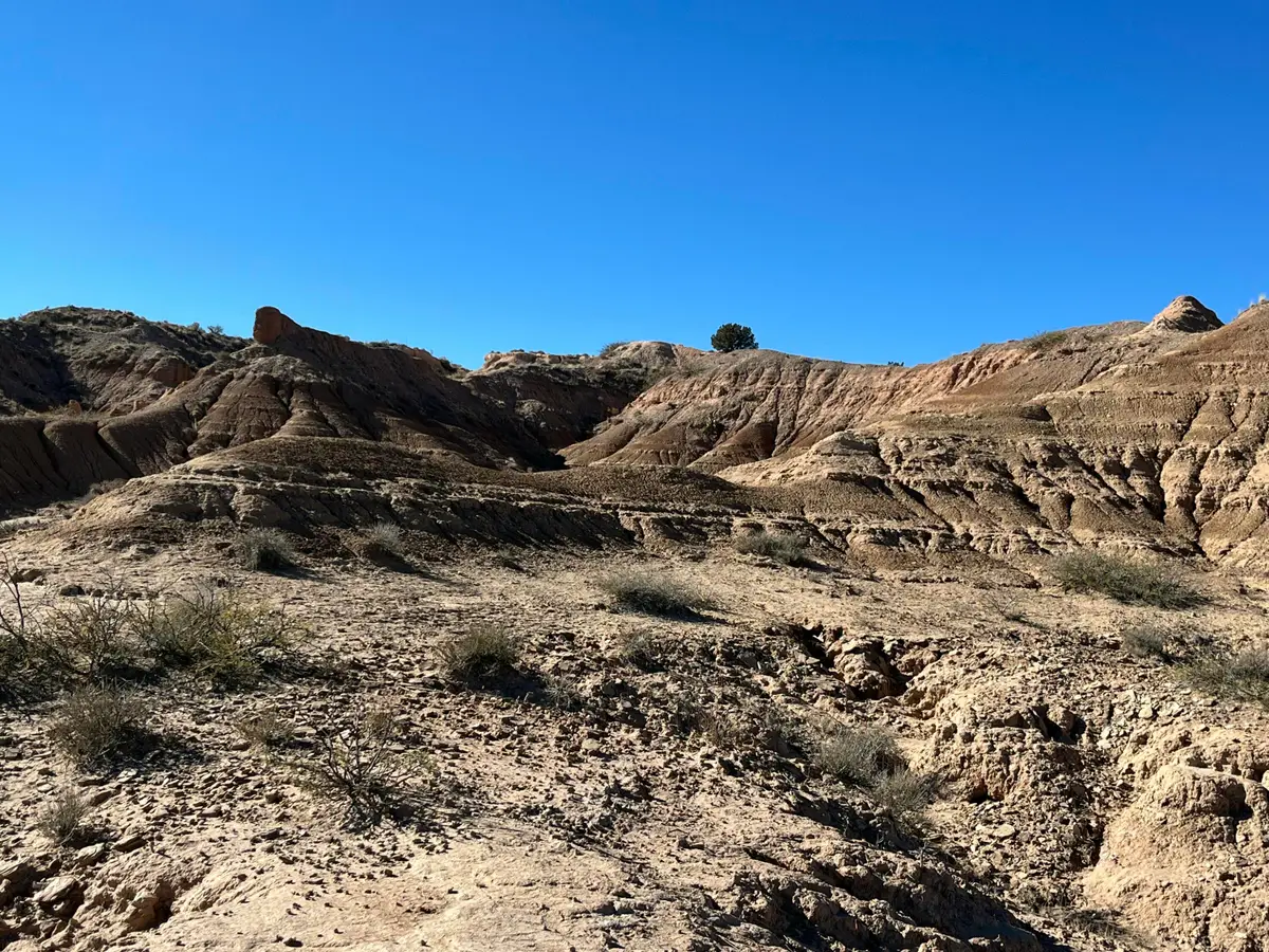 Lot: 5A Erica Lane, Belen, NM 87002 - Image #1