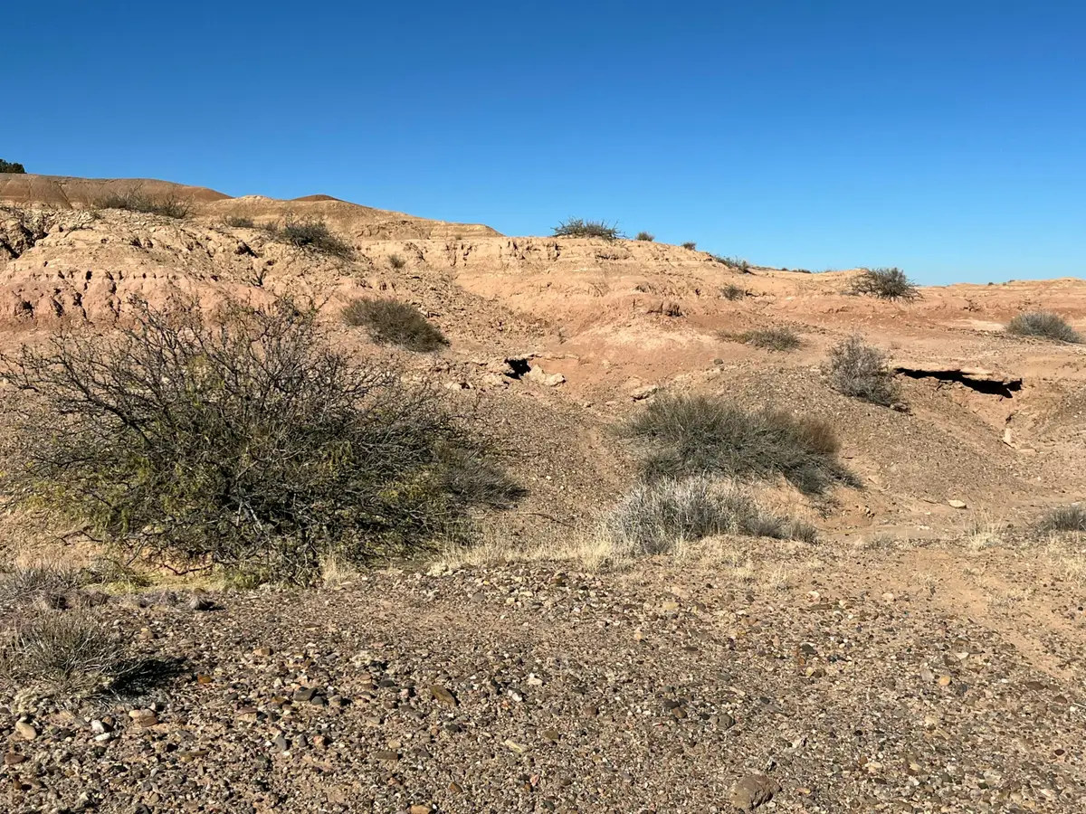 Lot: 5B Erica Lane, Belen, NM 87002 - Image #1