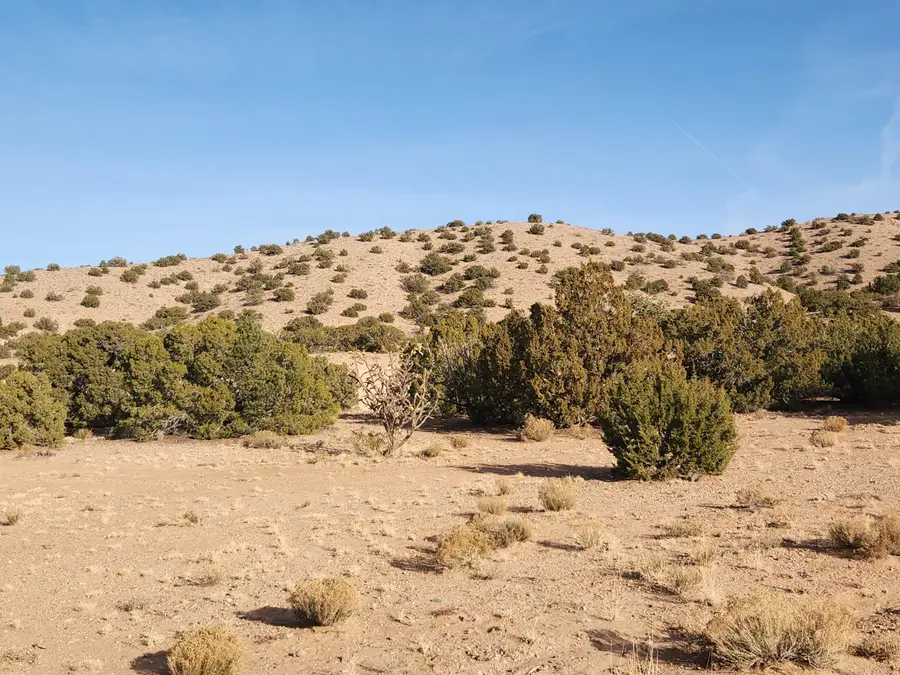 Palomar Rd - Lot 15, Placitas, NM 87043 - #2