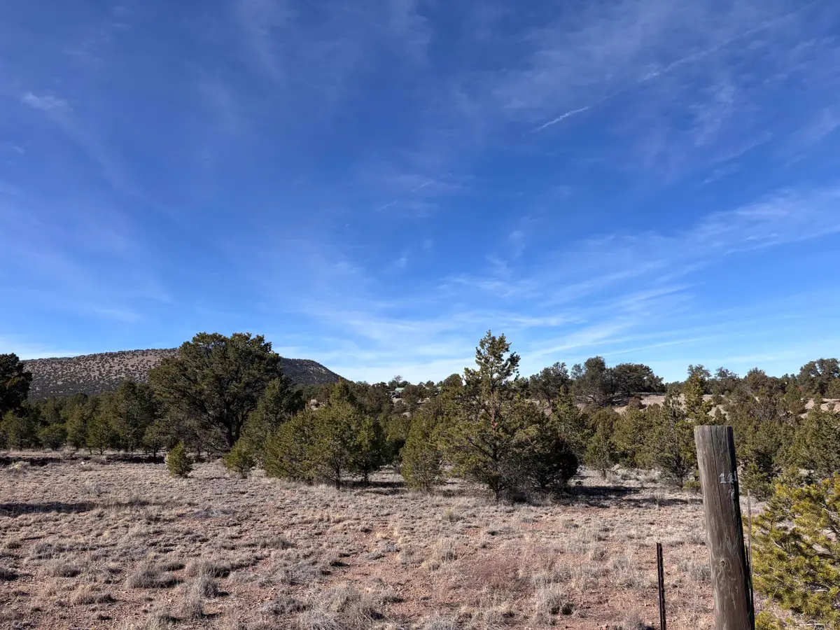 Lot 17 Horse Peek Ranches, Datil, NM 87821 - #1