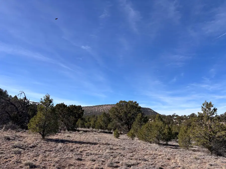 Lot 17 Horse Peek Ranches, Datil, NM 87821 - #3