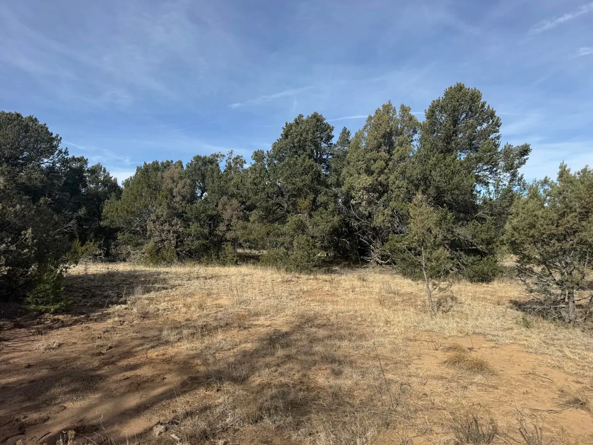78 Candelaria Road, Tijeras, NM 87059 - Image #1