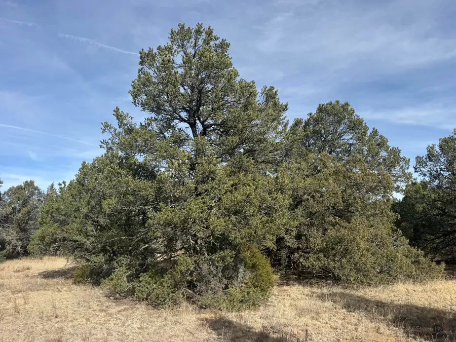 78 Candelaria Road, Tijeras, NM 87059 - Image #3