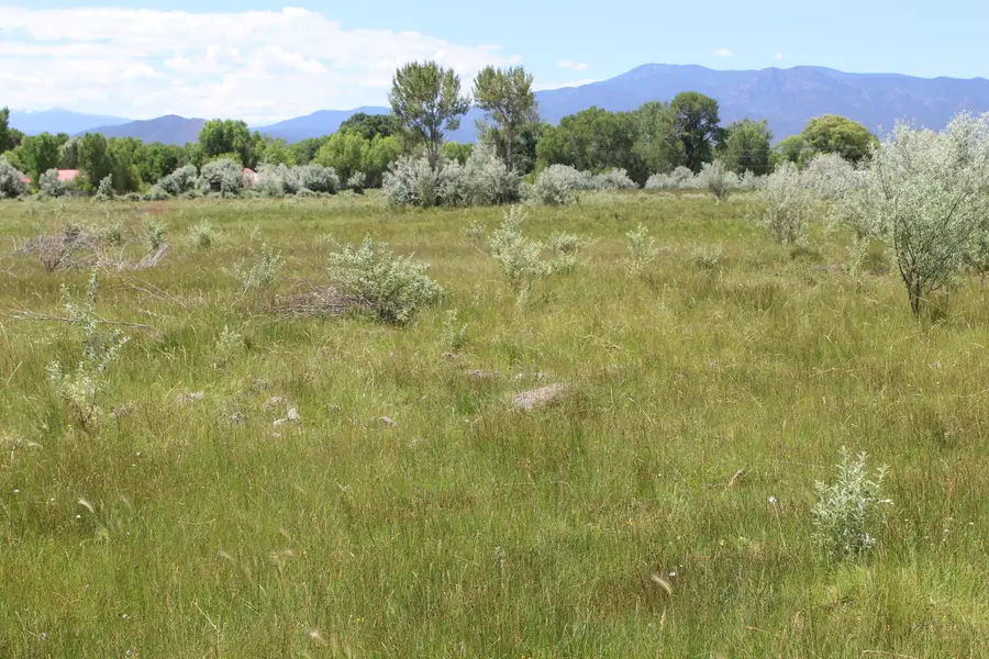 La Senisa Rd., Taos, NM 87571 - Image #2
