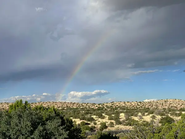 101 Wild Primrose Road, Placitas, NM 87043