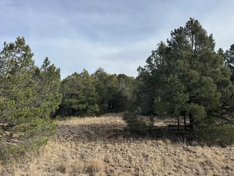 80 Candelaria Road, Tijeras, NM 87059 - Image #3