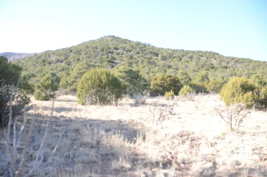 80 N Mountain Road, Edgewood, NM 87015 - Image #3