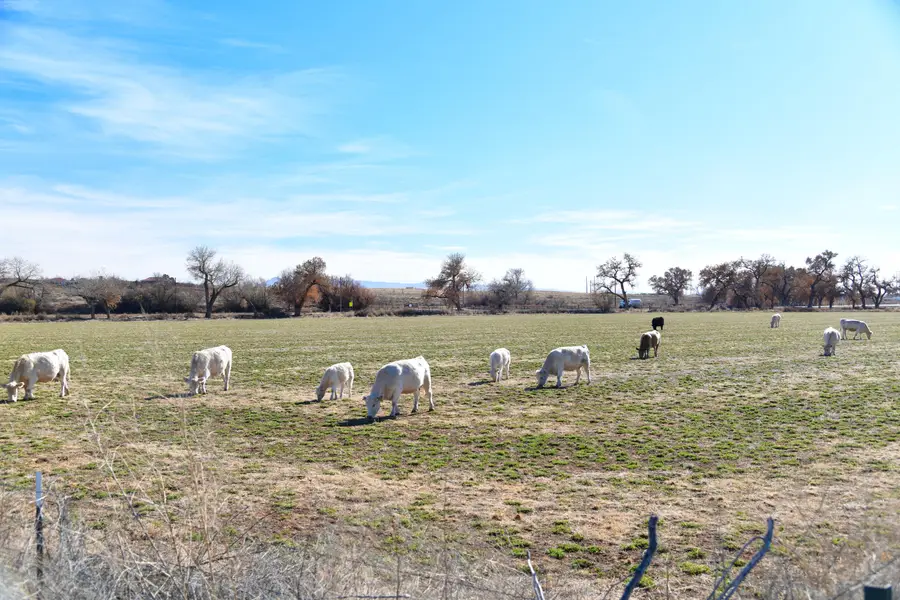 Highway 304, Veguita, NM 87062 - Image #3
