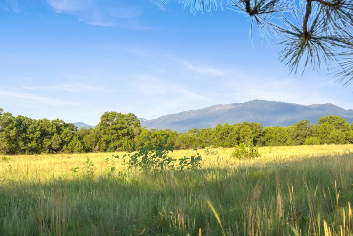 Subd: Torreon Grant Tract: A-1, Torreon, NM 87061 - Image #1