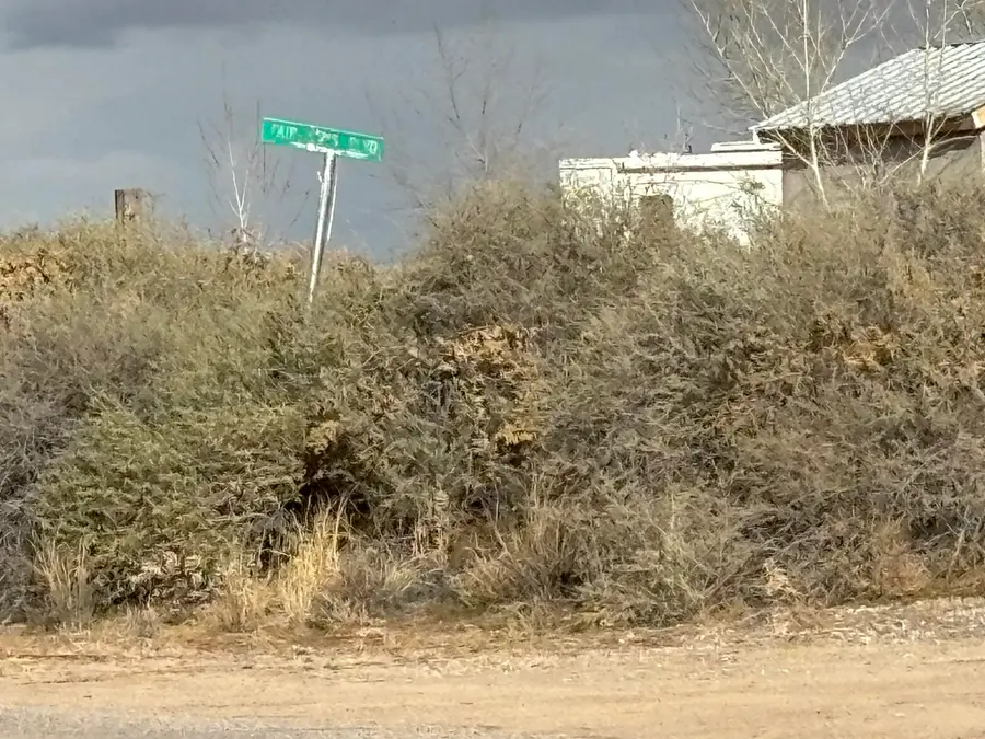 Lot 8 Rio Del Oro, Los Lunas, NM 87031 - Image #3