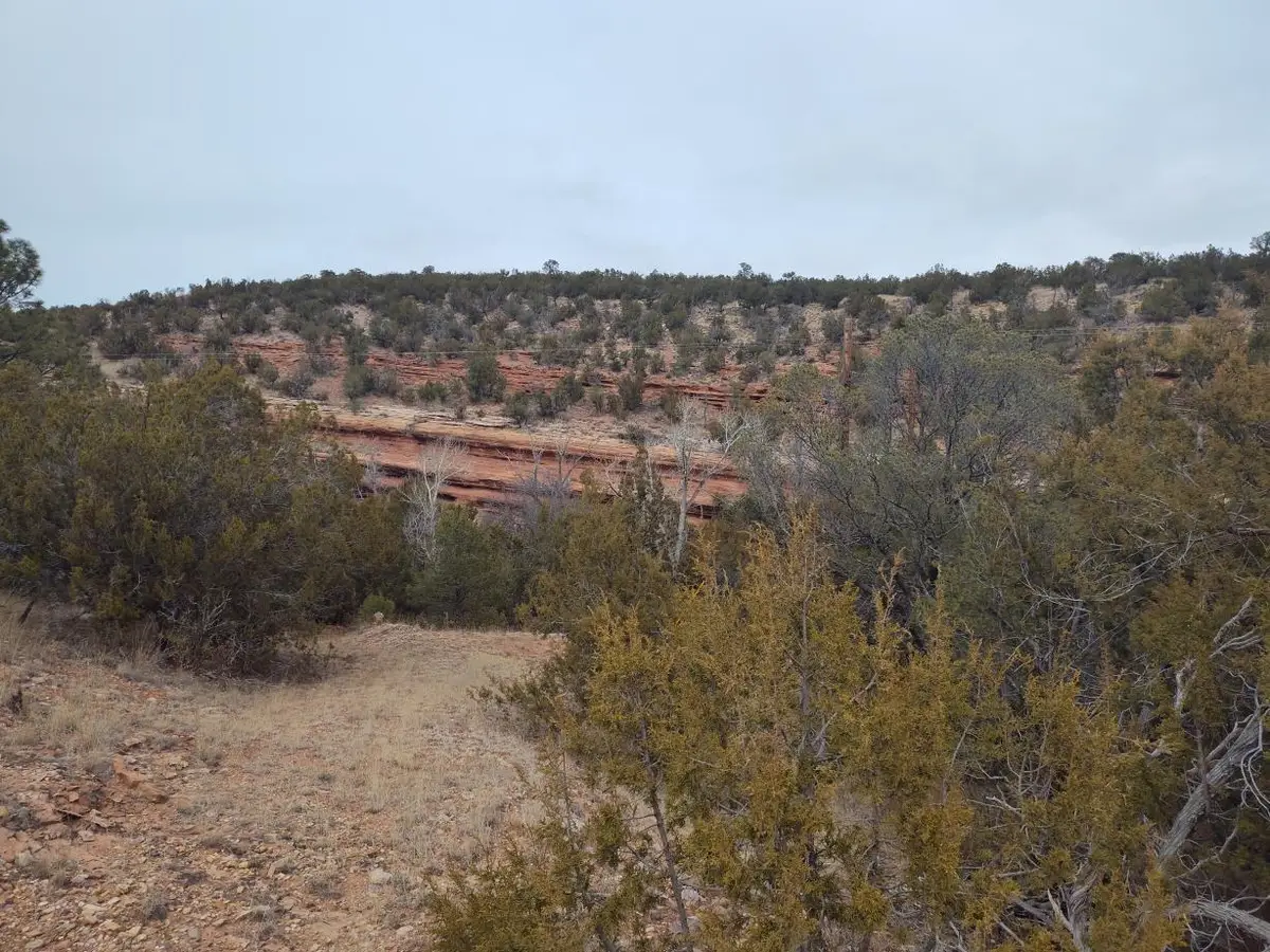 470 Red Bluff Road, Mountainair, NM 87036 - Image #1