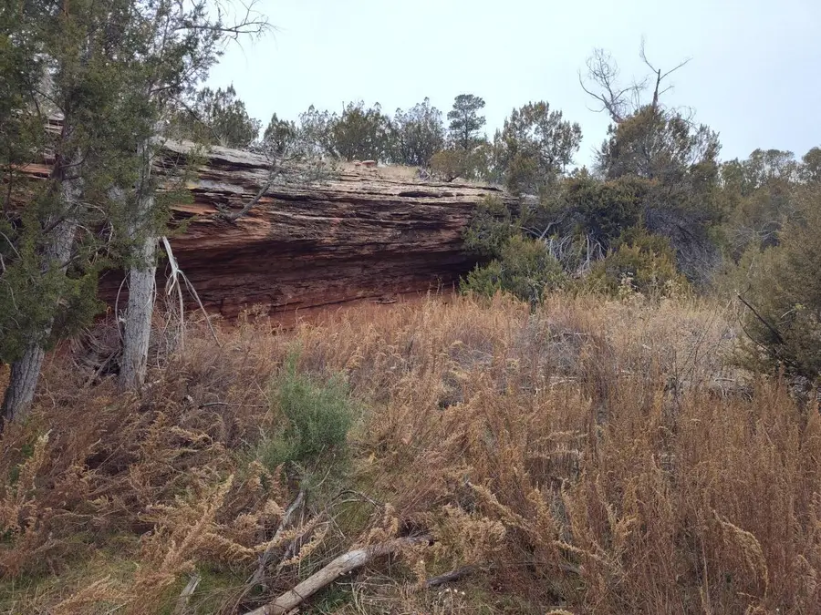 470 Red Bluff Road, Mountainair, NM 87036 - Image #2