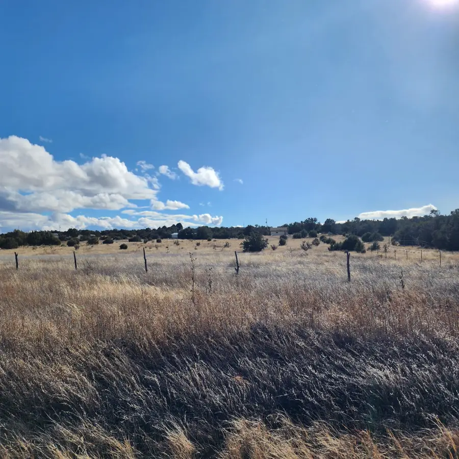 170 Indian Hills Road, Moriarty, NM 87035 - Image #2