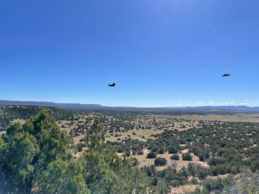 TRC S27 T3n R6e, Mountainair, NM 87036 - Image #2