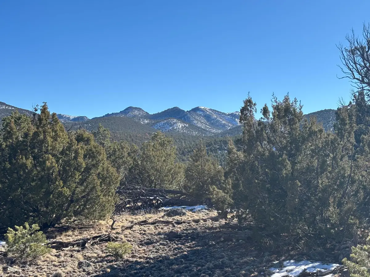 12 Kit Road Lot 2 Unit I Road, Datil, NM 87821 - Image #1