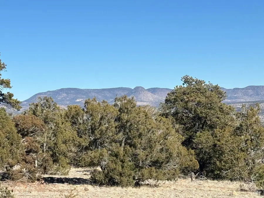 12 Kit Road Lot 2 Unit I Road, Datil, NM 87821 - Image #3