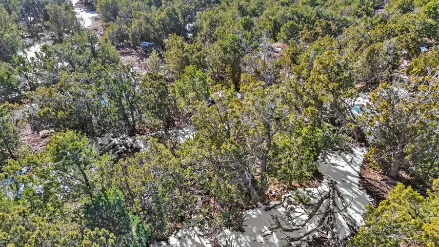 San Pedro Creek Estates 3 Lot7, Sandia Park, NM 87047 - #2