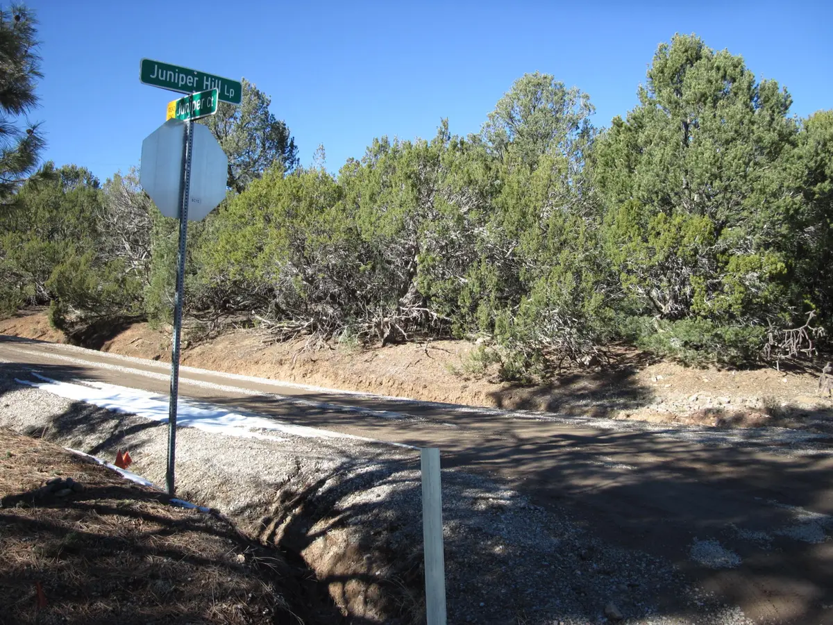 50 54 56 Juniper Hill Loop, Cedar Crest, NM 87008 - #1