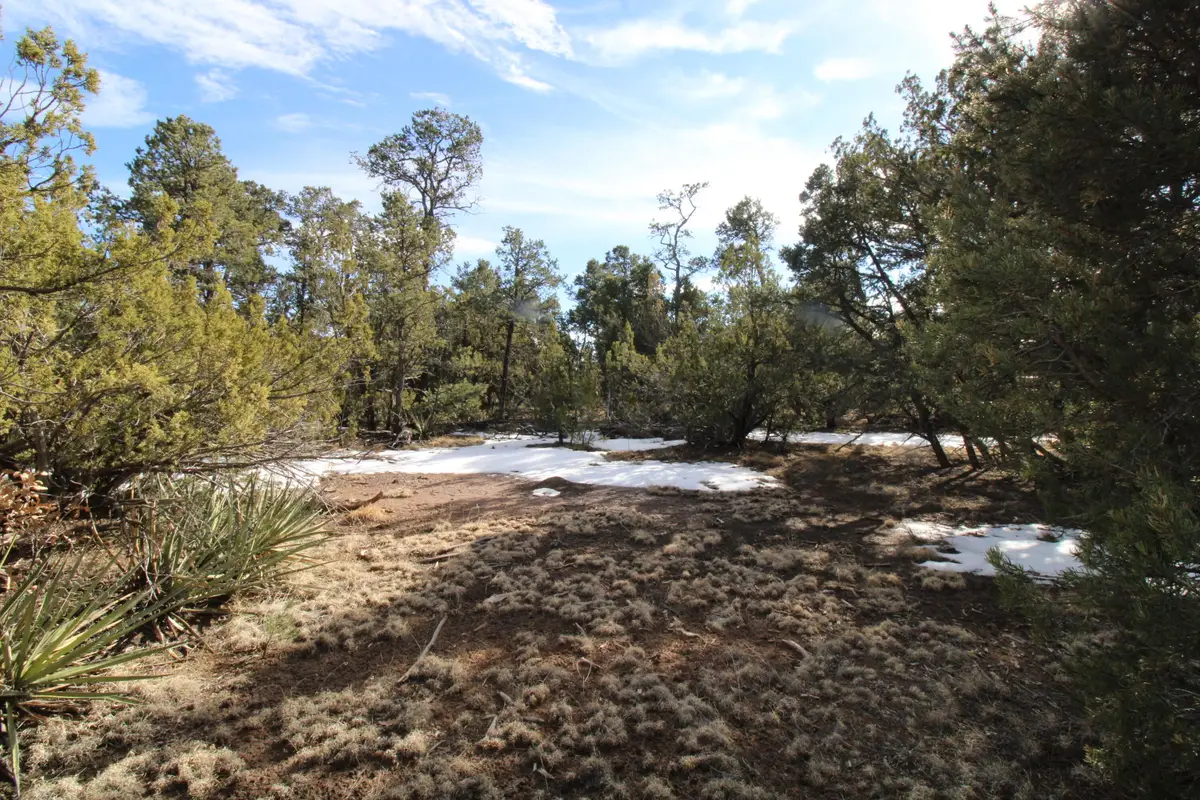 00 Ogaz Loop, Edgewood, NM 87015 - #1