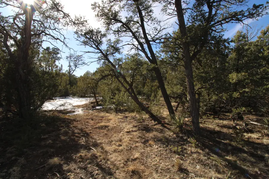 00 Ogaz Loop, Edgewood, NM 87015 - #3