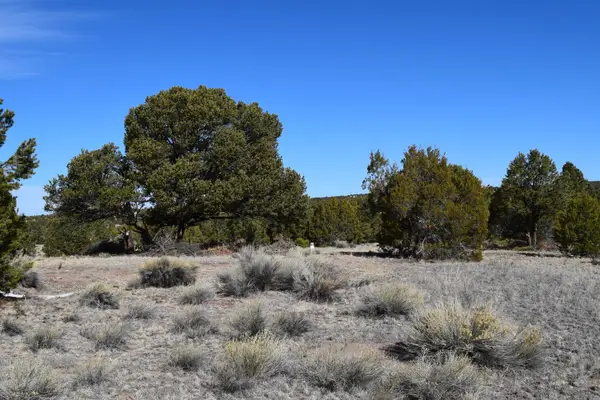 55 Pinewood Circle, Pie Town, NM 87827