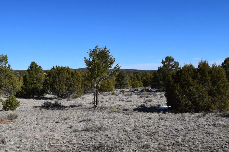 55 Pinewood Circle, Pie Town, NM 87827 - #2
