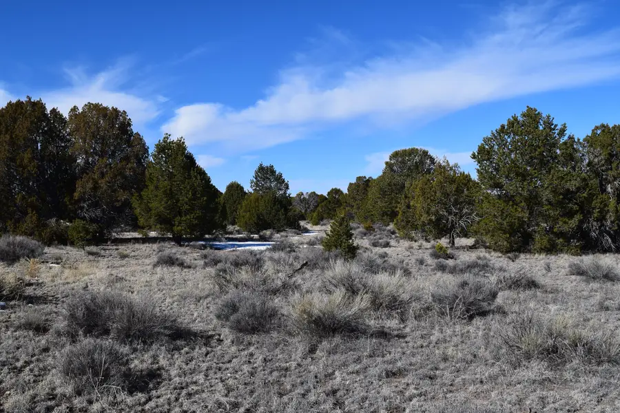 55 Pinewood Circle, Pie Town, NM 87827 - #3