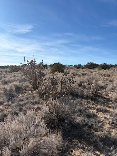 29th Street Sw, Rio Rancho, NM 87124 - #3