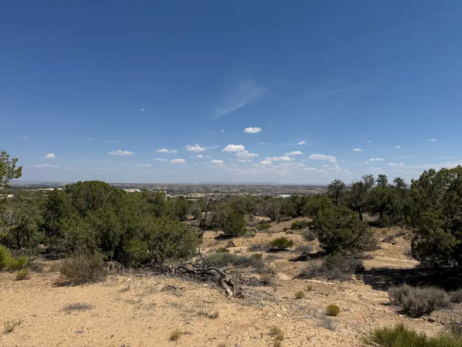E Lions Trail Trail, Farmington, NM 87401 - #3
