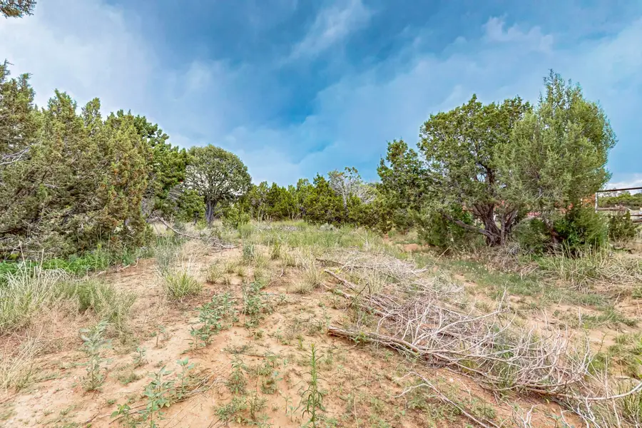 3601 Rodeo Lane, Santa Fe, NM 87507 - #3