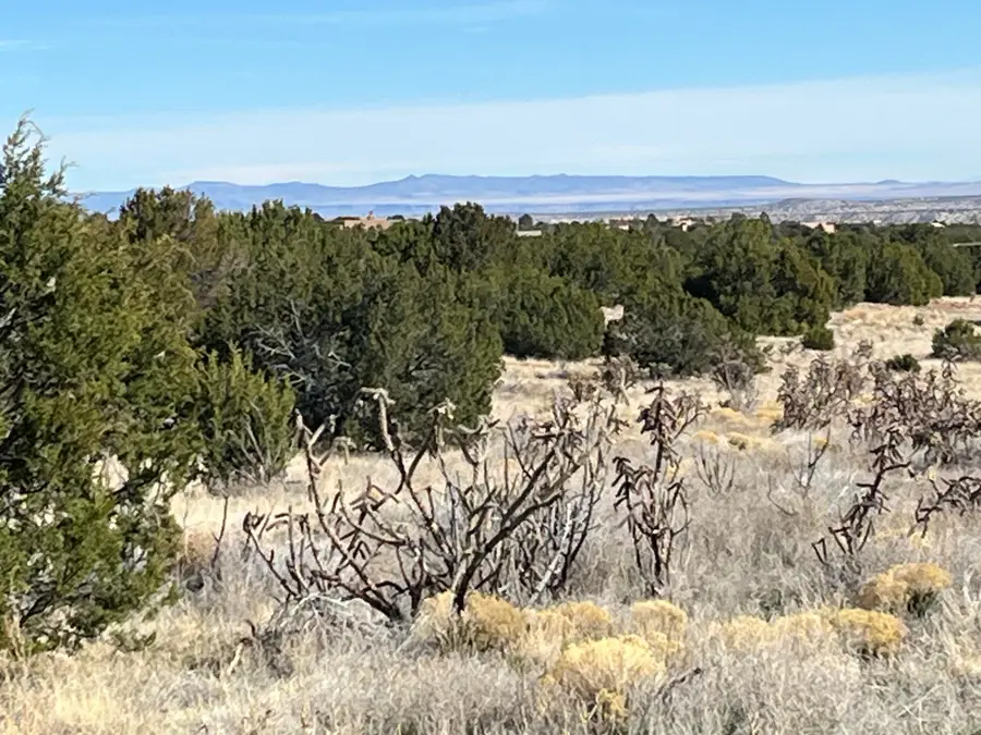 4 Osito Road, Sandia Park, NM 87047 - #3