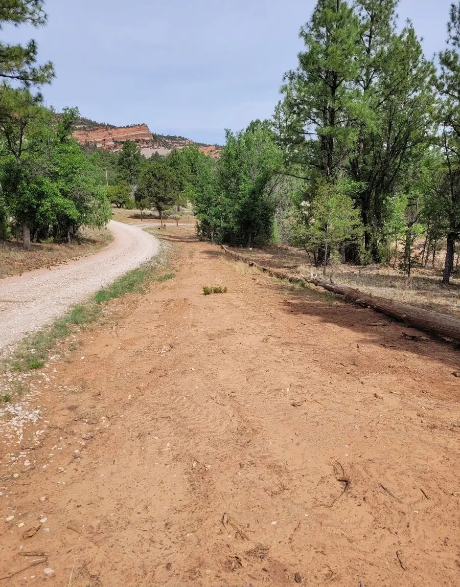 84 Culebra Drive, Ramah, NM 87321 - #3