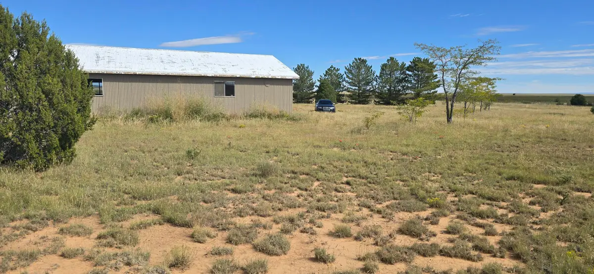 235 Riley Road, Estancia, NM 87016 - #1