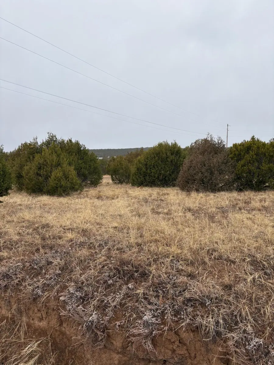 90 Jesse James Road, Edgewood, NM 87015 - #2