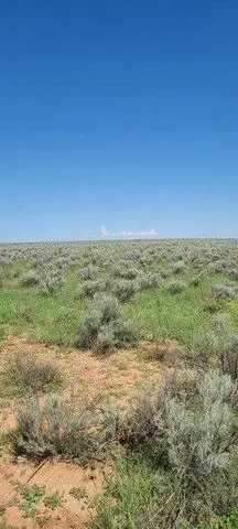 Villa Linda Lot 44a, Los Lunas, NM 87031 - #2