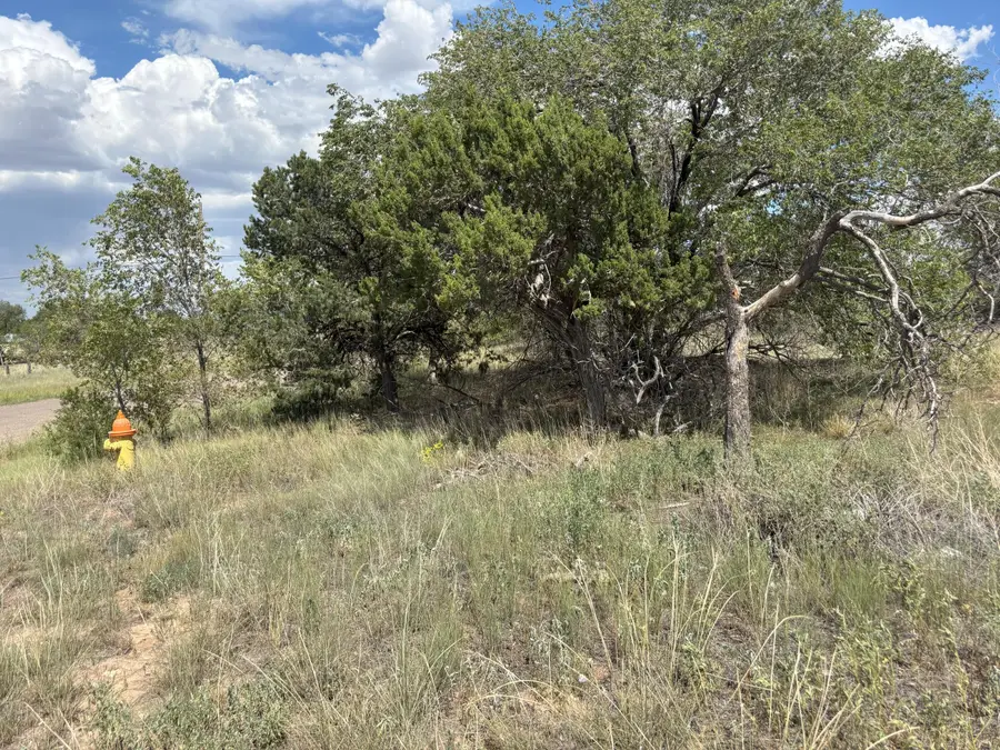 602 Corbett Avenue, Mountainair, NM 87036 - #3