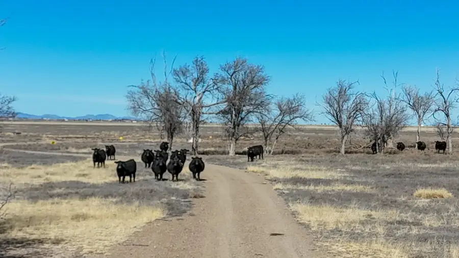 TBD W Alan Ayers Avenue, Estancia, NM 87016 - #2