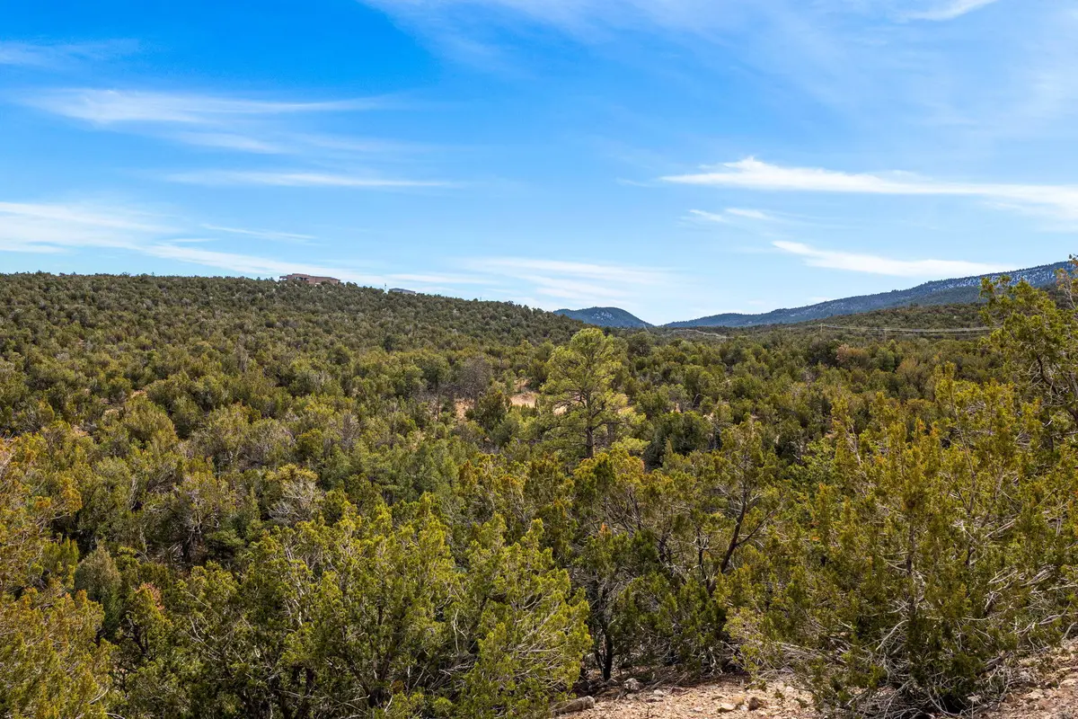 Lot 26 in Unit 1, Of Pinon Park Estates, Sandia Park, NM 87047 - #1