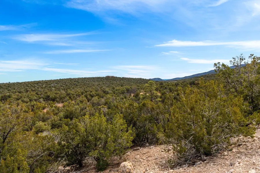 Lot 26 in Unit 1, Of Pinon Park Estates, Sandia Park, NM 87047 - #3