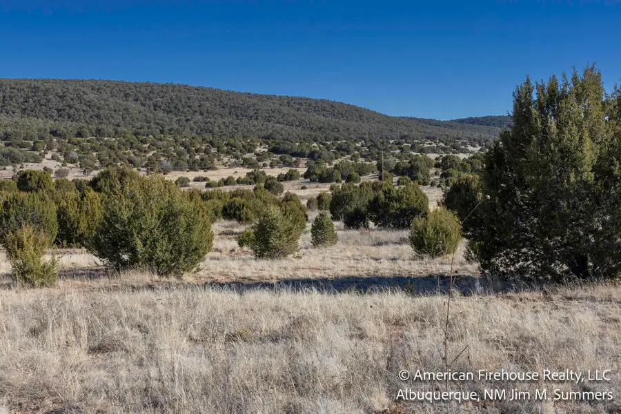 East Trail, Edgewood, NM 87015 - #2