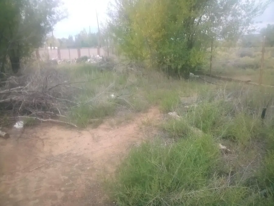 133 Michael Street, Grants, NM 87020 - #2