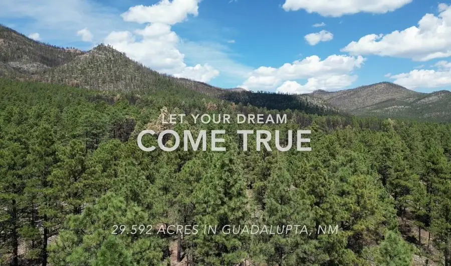 Behind1161 Nm-434, Mora, NM 87732 - #2