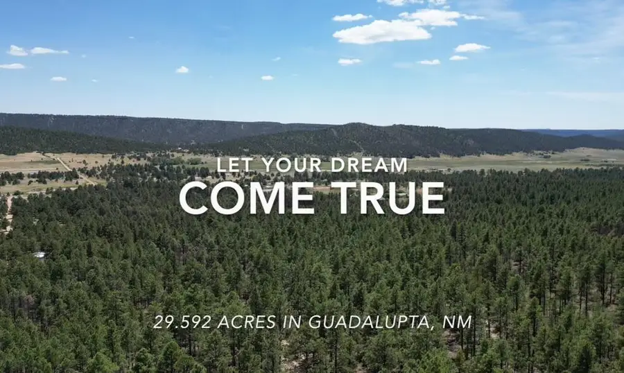 Behind1161 Nm-434, Mora, NM 87732 - #3