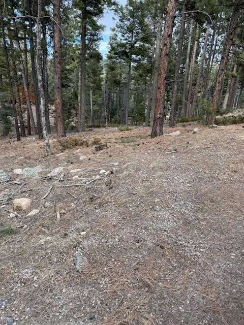 0 Turkey Tr, Jemez Springs, NM 87025 - #1