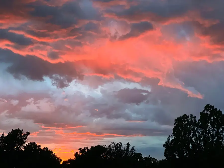 12 Elk Road, Corona, NM 88318 - #2