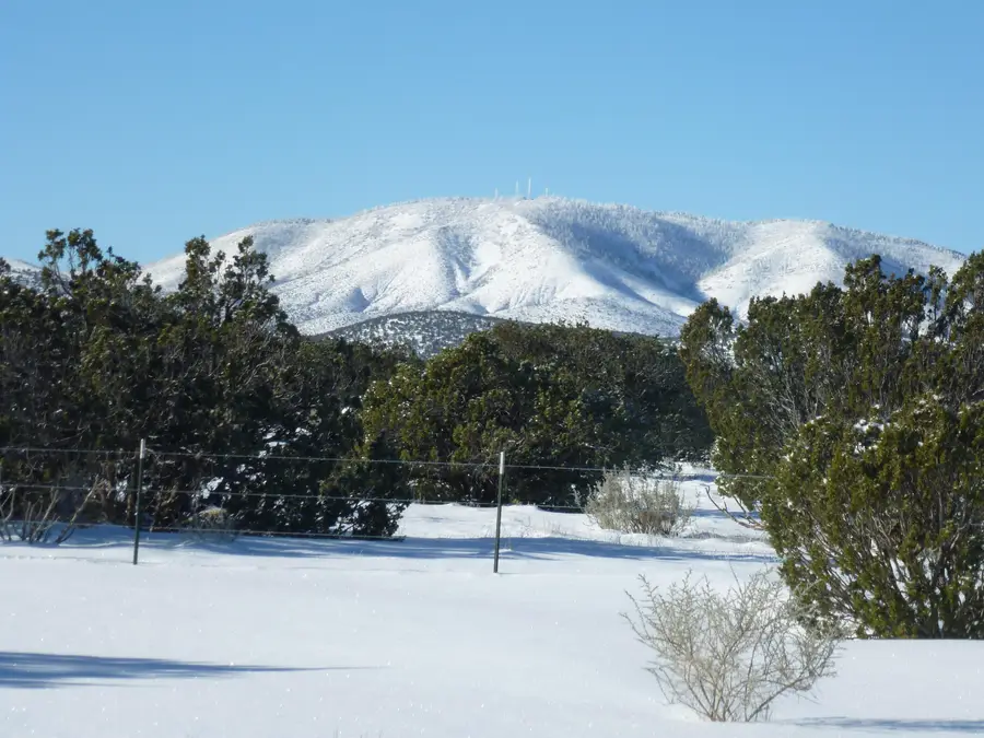 12 Elk Road, Corona, NM 88318 - #3