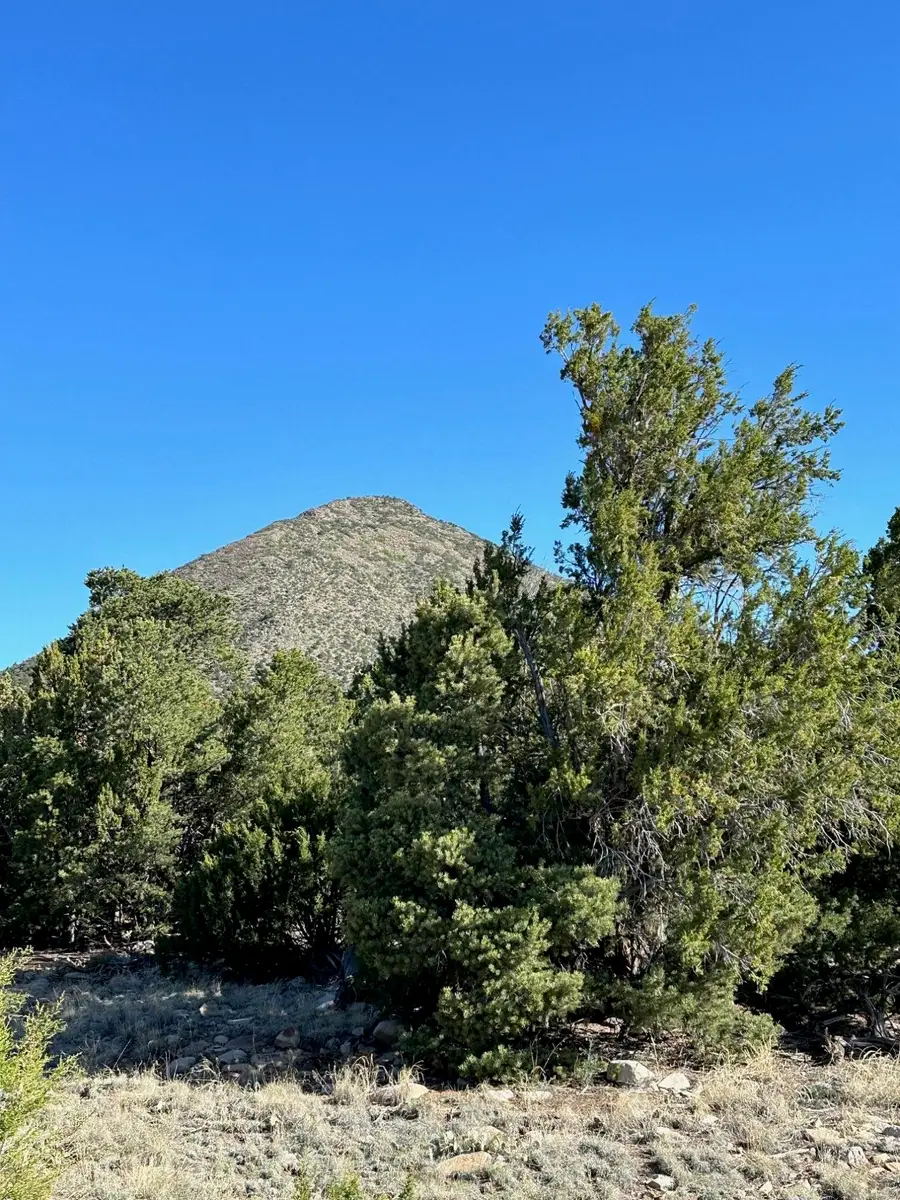 5 Canon De Manantial, Edgewood, NM 87015 - #3