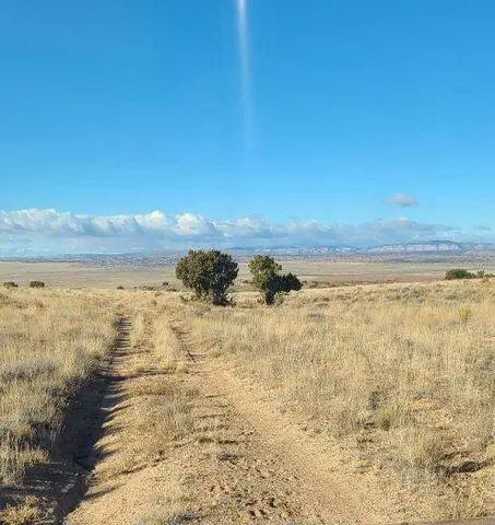 Tren Lot 2 Road, Los Lunas, NM 87031 - #1