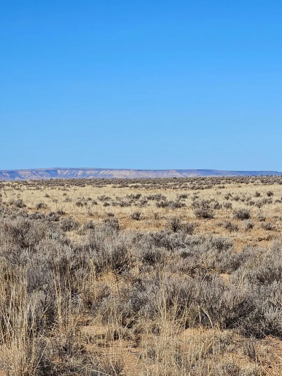 Duarte Lot 2 Road, Los Lunas, NM 87031 - #2