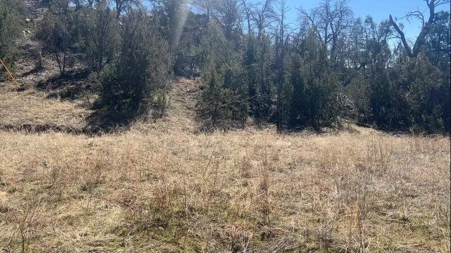 63 Jennifer Drive, Sandia Park, NM 87047 - #2